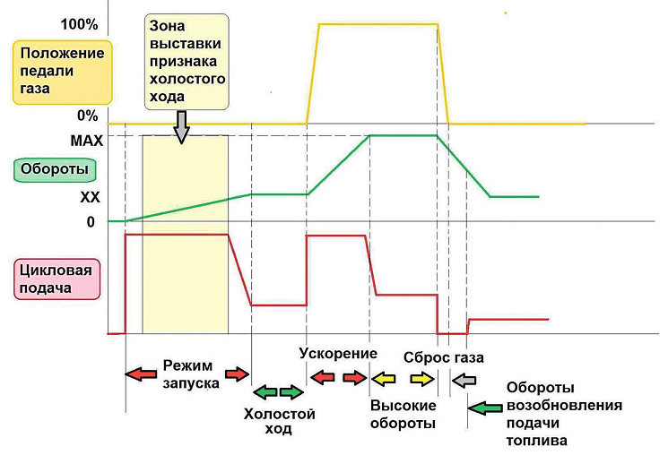 Рис. 3. Величина цикловой подачи топлива в зависимости от оборотов и положения педали газа