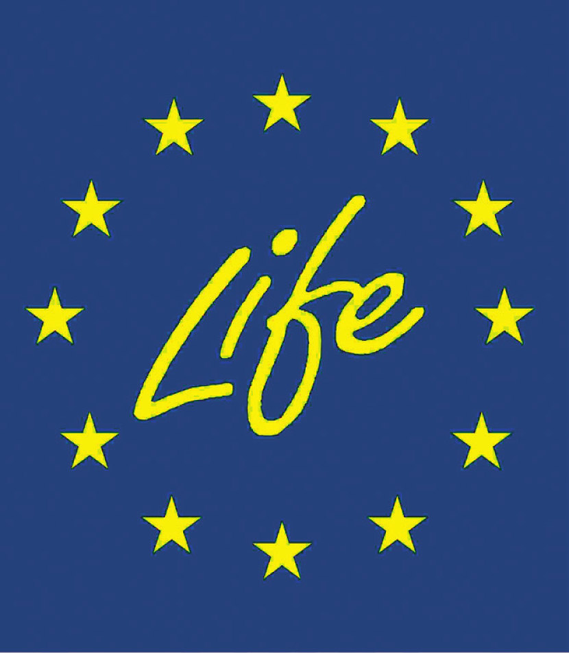 Эмблема проекта «Life'N Grab Hy!». Его цель – реализация и развитие европейской политики в области окружающей среды и климата