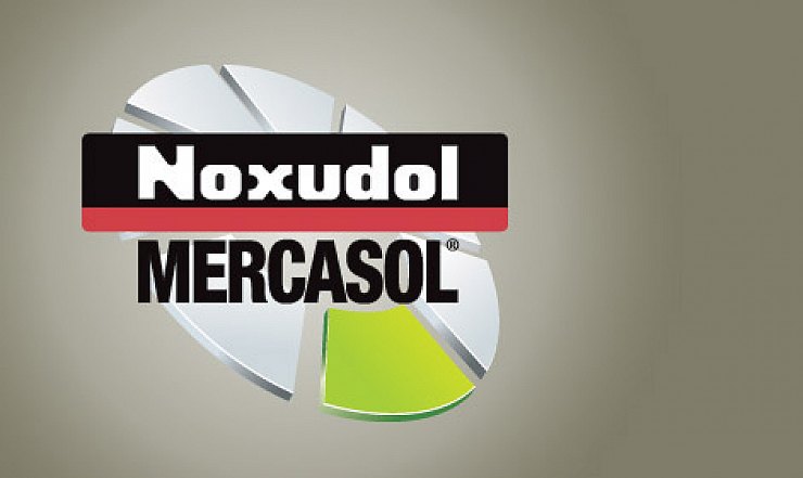  Антикоррозионная обработка Mercasol / Noxudol