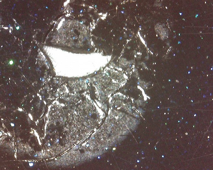 Фото 8. Растрескивание лакокрасочного 
покрытия панели крыши, наслоение 
смолистого вещества (объект в поле 
зрения цифрового микроскопа)
