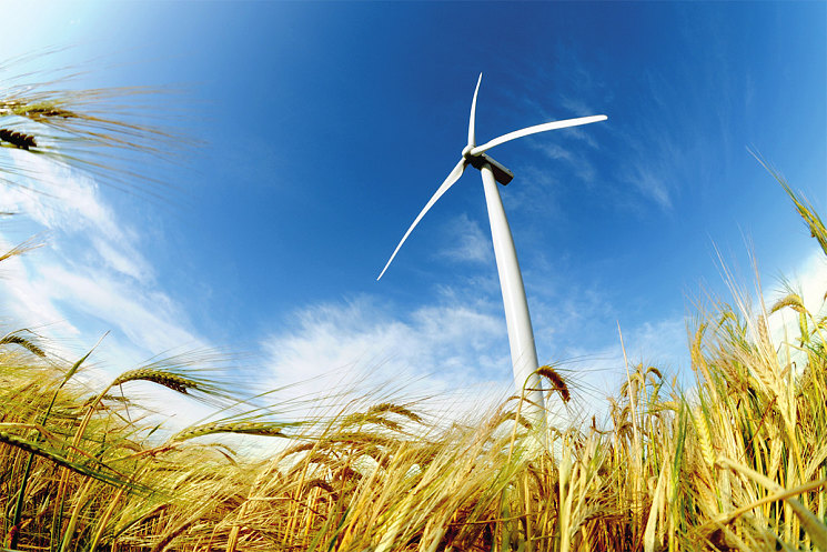 Заменить традиционные источники энергии могут дорогие ветряки